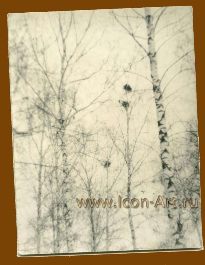 Фото: Таруса, 1977 год