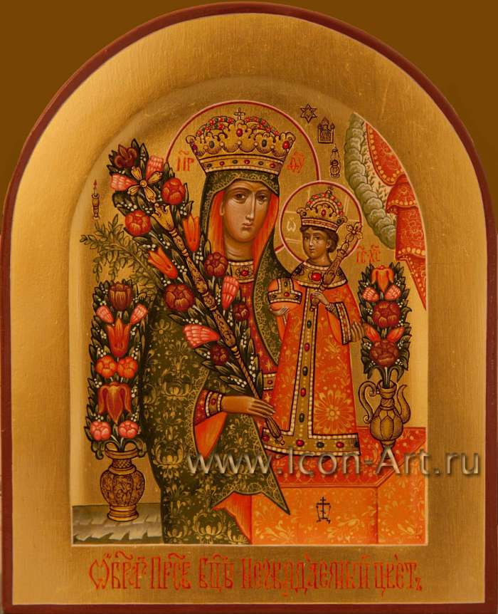 Фото: Икона Пресвятой Богородицы «Неувядаемый Цвет»