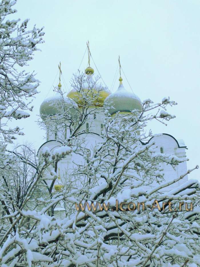 фото природы Иконописная Мастерская Екатерины Ильинской