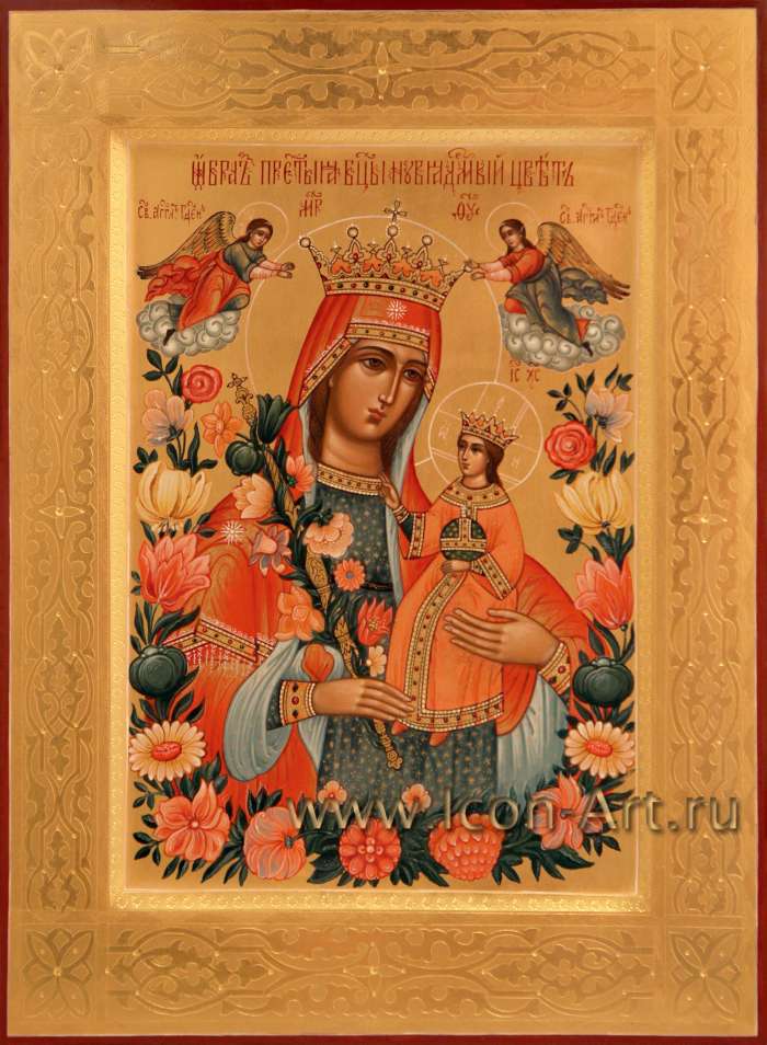 Фото: Богоматерь «Неувядаемый Цвет»