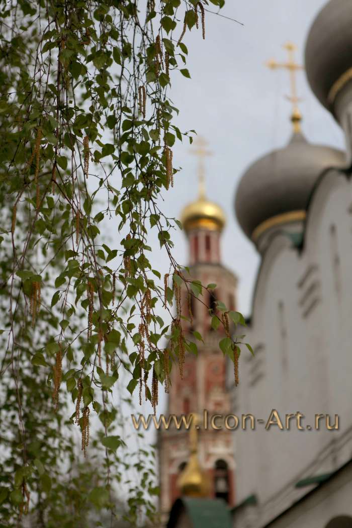 Храм и береза