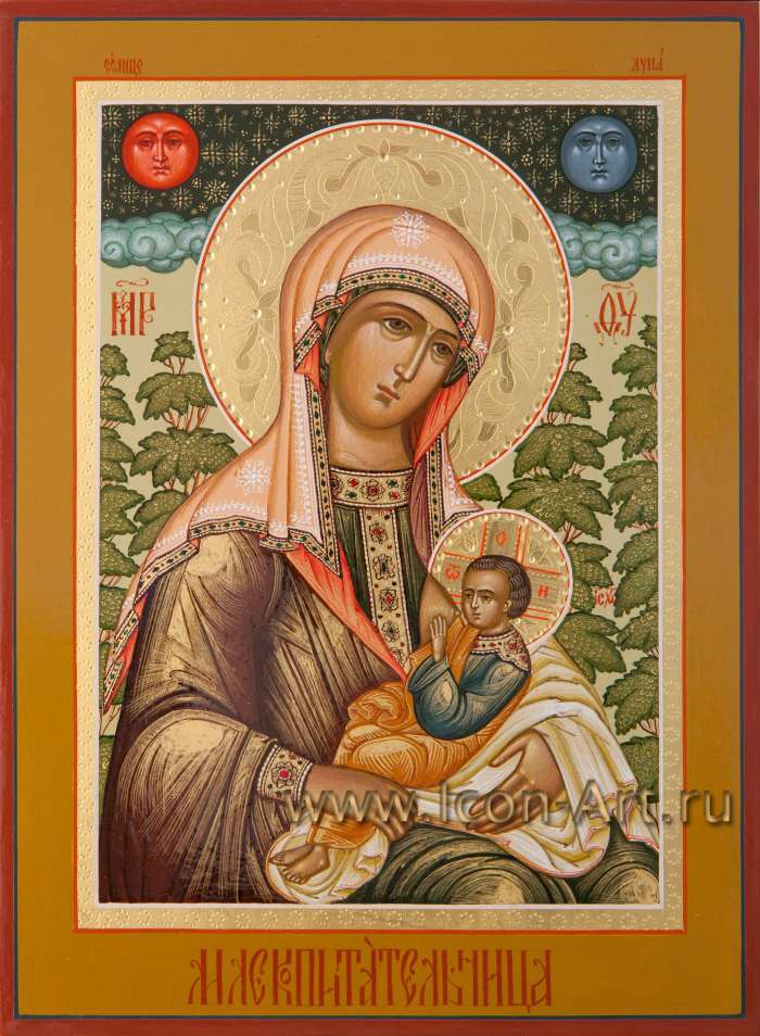 Фото: Пресвятая Богородица «Млекопитательница»