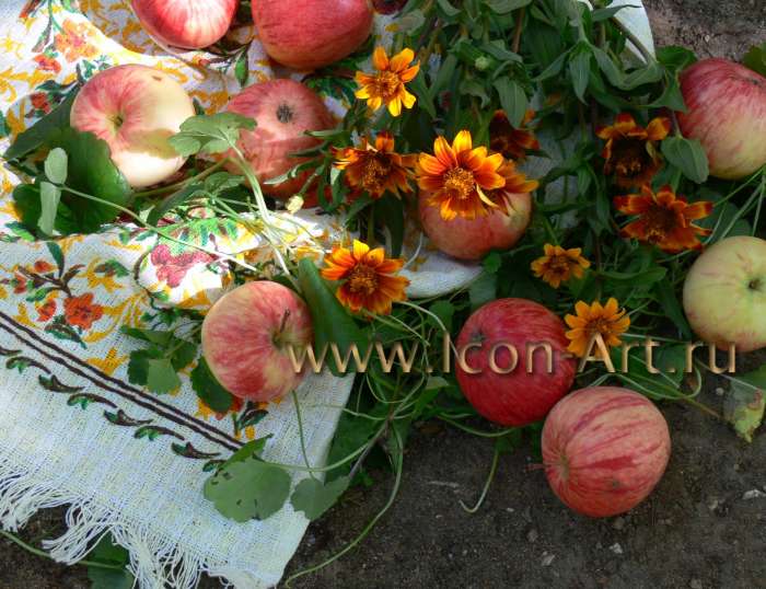 Фото: Яблочный Спас