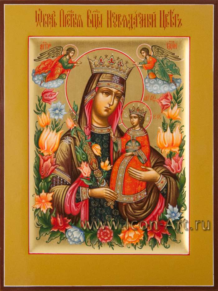 Фото: Пресвятая Богородица «Неувядаемый Цвет»