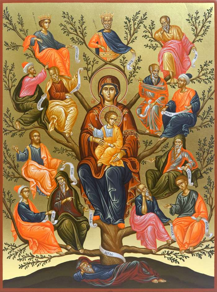 Фото: Древо Иесеево