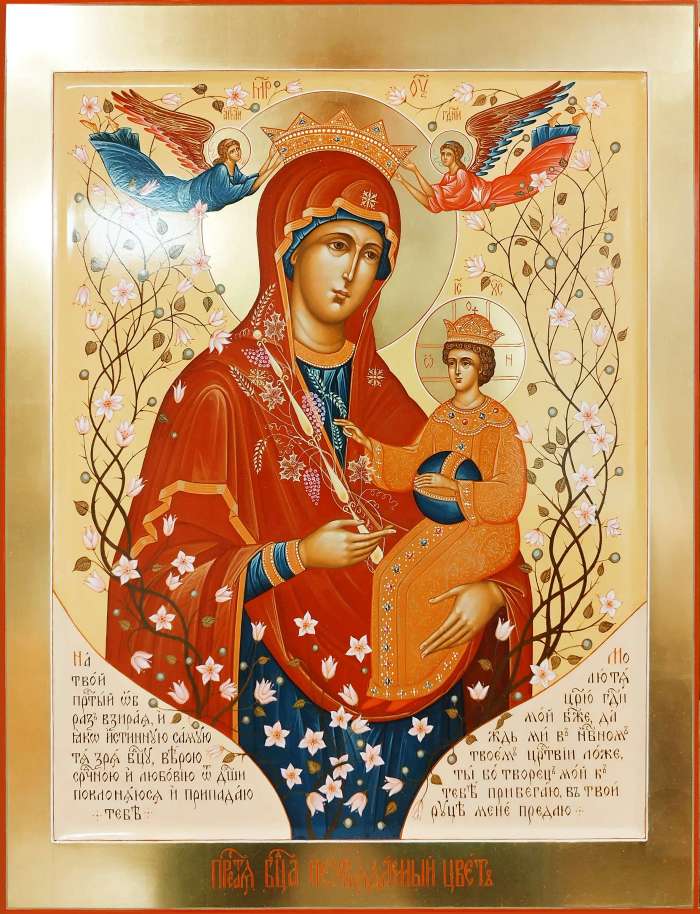 Фото: Пресвятая Богородица  «Неувядаемый Цвет»