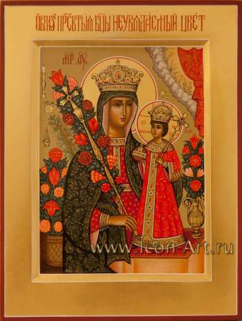 Икона Пресвятой Богородицы «Неувядаемый Цвет»