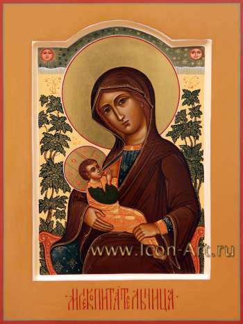 Образ Пресвятой Богородицы «Млекопитательница»