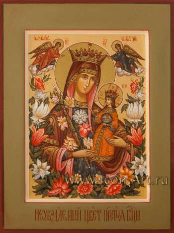 Пресвятая Богородица «Неувядаемый Цвет»