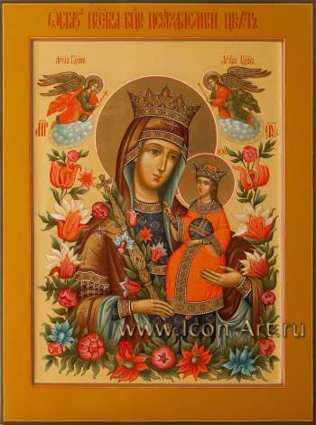 Пресвятая Богородица «Неувядаемый Цвет»