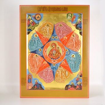 Икона Пресвятой Богородицы "Неопалимая купина", вид 5